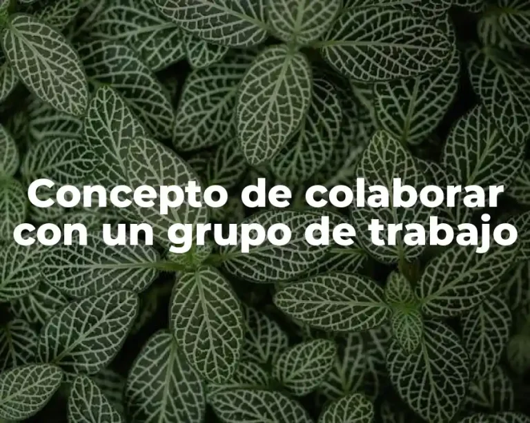 Concepto de colaborar con un grupo de trabajo
