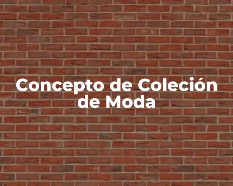 Concepto de Coleción de Moda