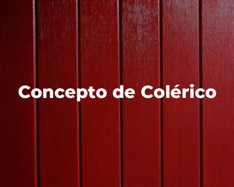 Concepto de Colérico