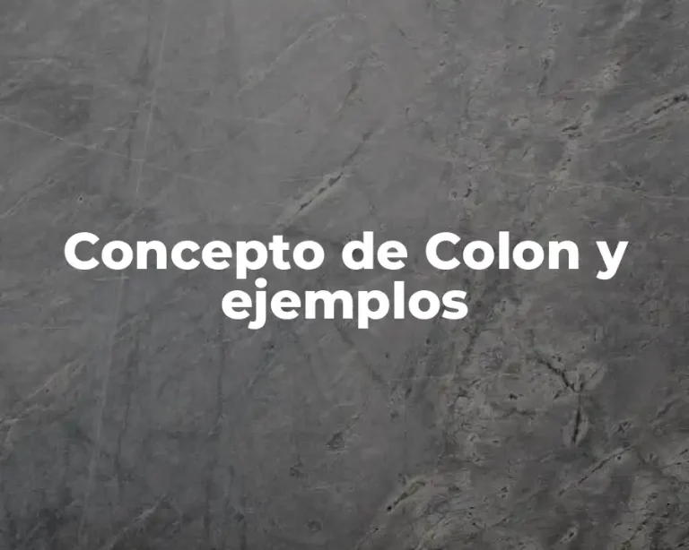 Concepto de Colon y ejemplos