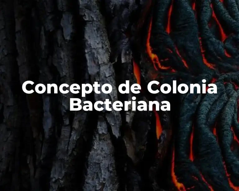 Concepto de Colonia Bacteriana