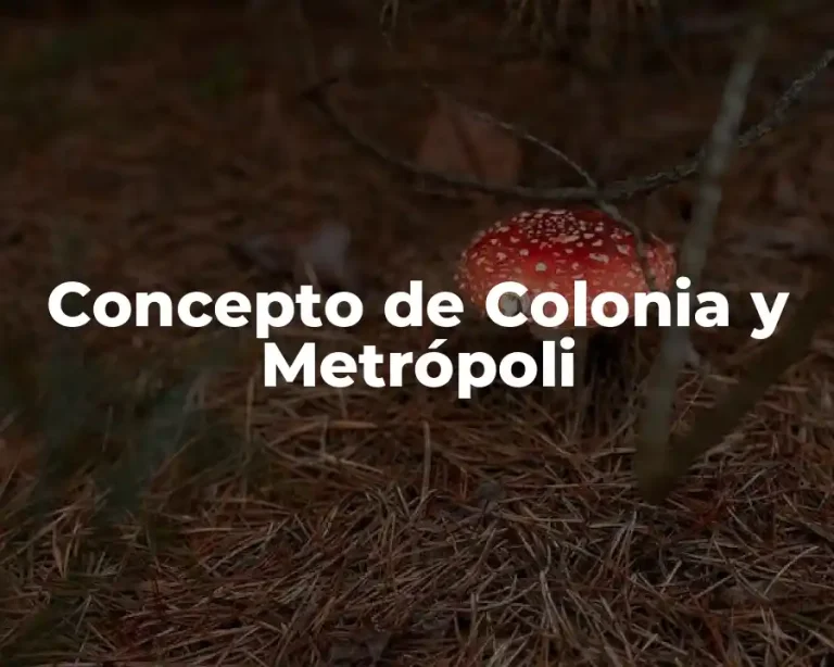Concepto de Colonia y Metrópoli