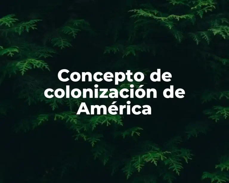 Concepto de colonización de América