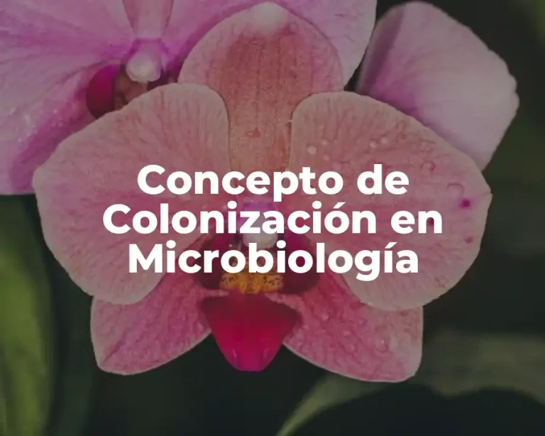 Concepto de Colonización en Microbiología