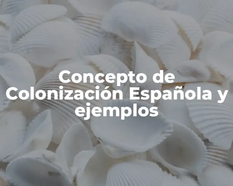 Concepto de Colonización Española y ejemplos