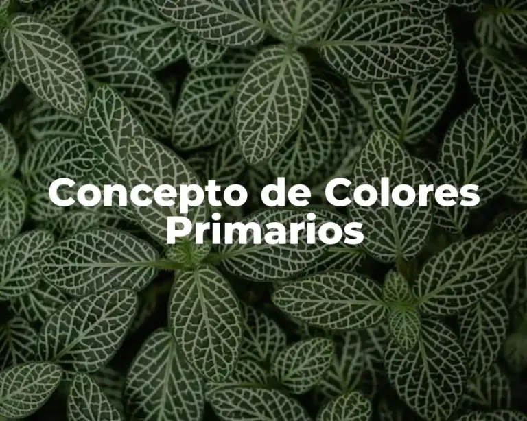 Concepto de Colores Primarios