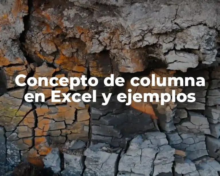 Concepto de columna en Excel y ejemplos