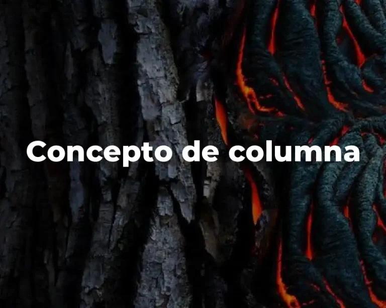 Concepto de columna