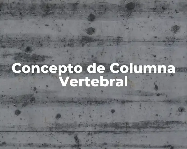Concepto de Columna Vertebral