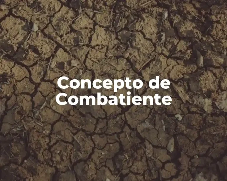 Concepto de Combatiente