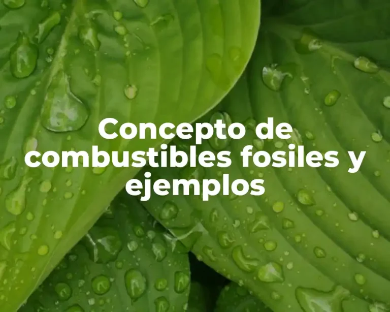 Concepto de combustibles fosiles y ejemplos