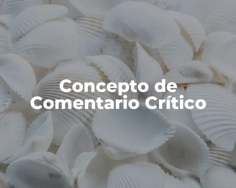 Concepto de Comentario Crítico