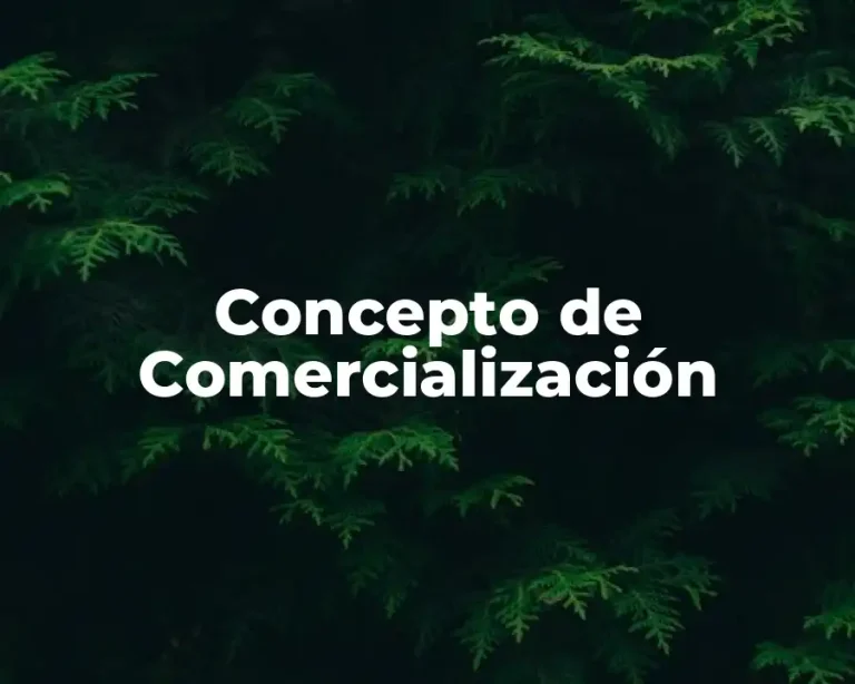 Concepto de Comercialización