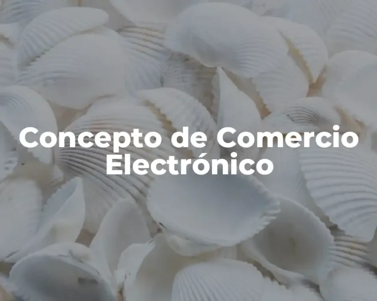 Concepto de Comercio Electrónico