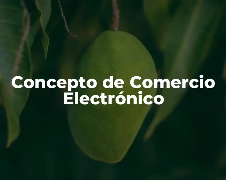 Concepto de Comercio Electrónico