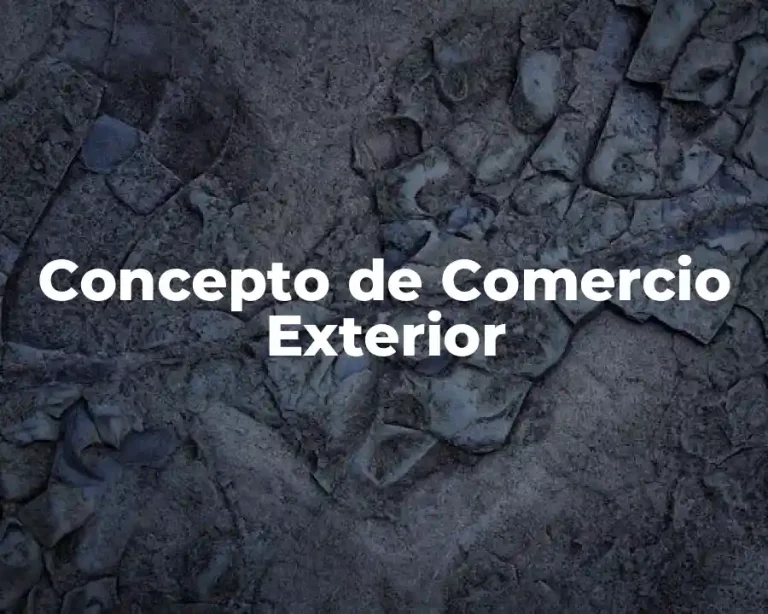 Concepto de Comercio Exterior