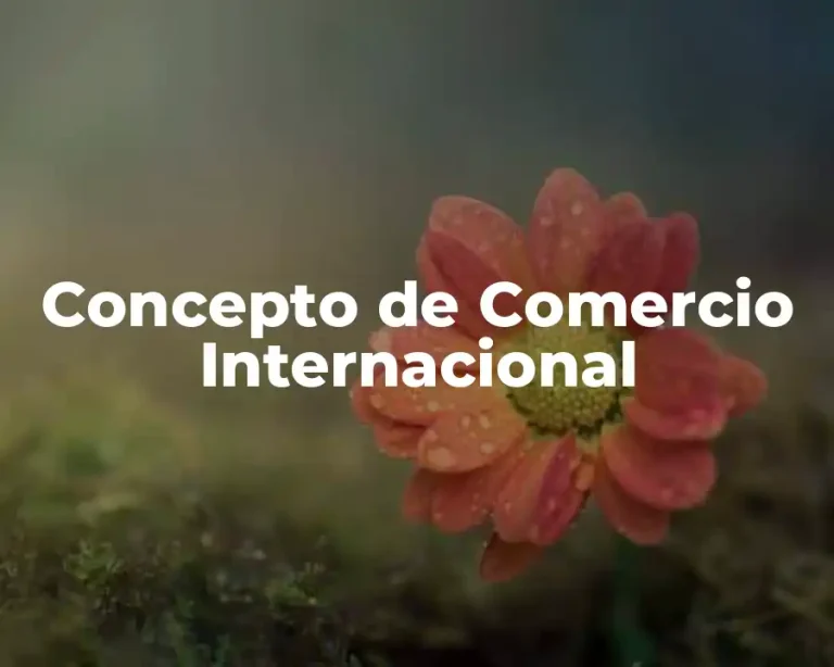 Concepto de Comercio Internacional