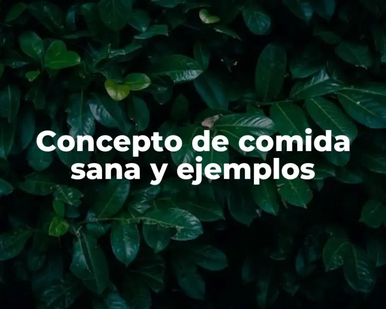Concepto de comida sana y ejemplos