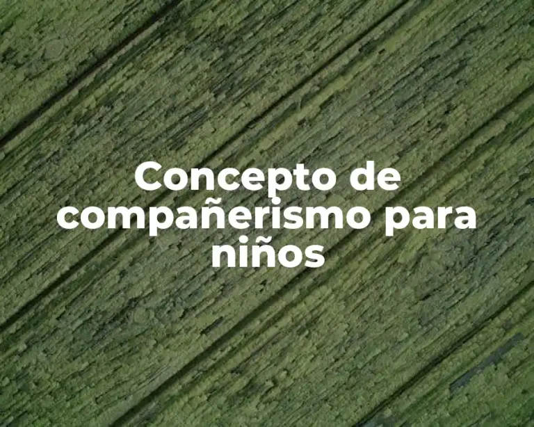 Concepto de compañerismo para niños