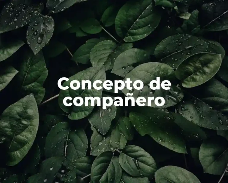 Concepto de compañero