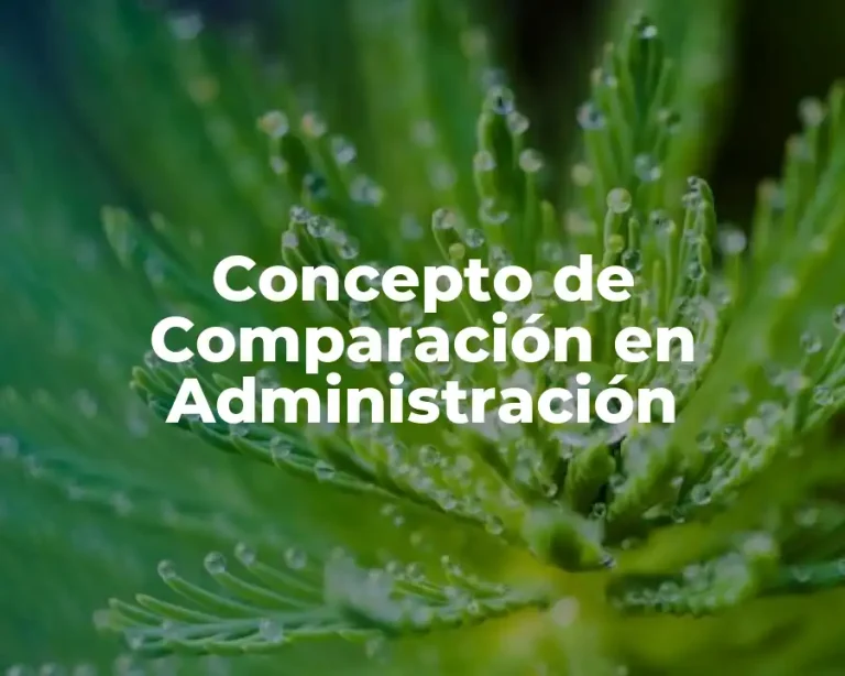 Concepto de Comparación en Administración