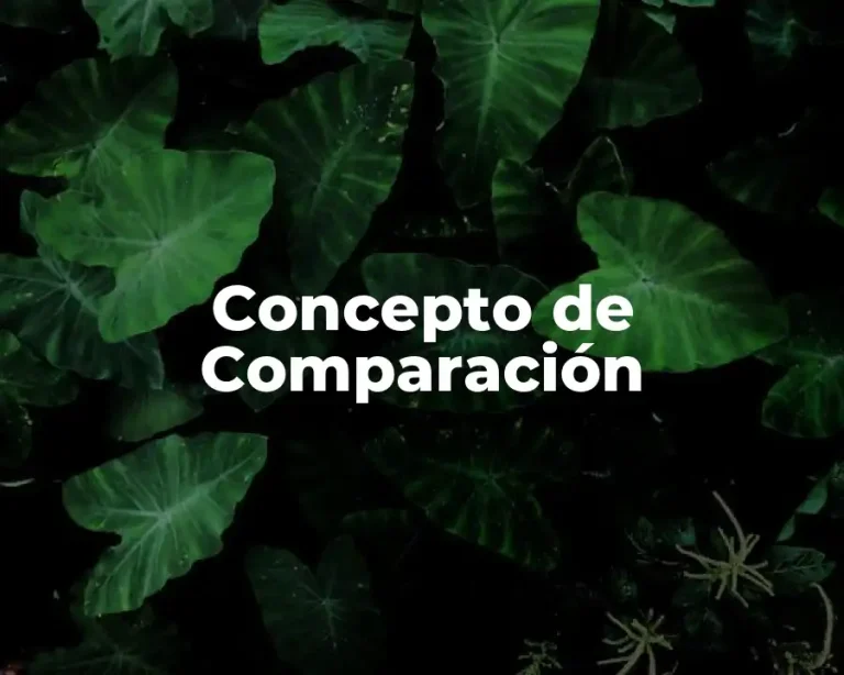 Concepto de Comparación