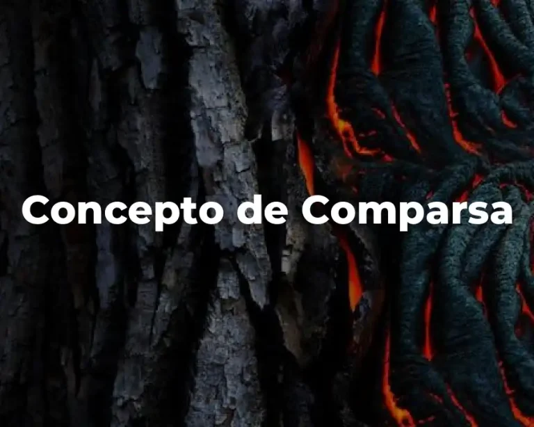 Concepto de Comparsa