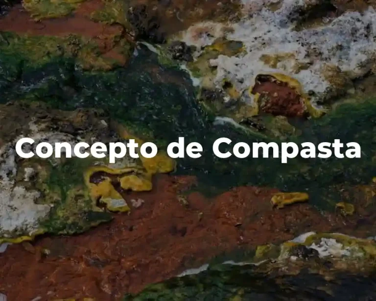 Concepto de Compasta