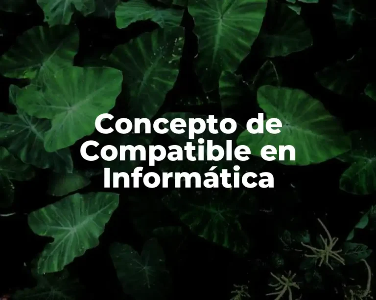 Concepto de Compatible en Informática