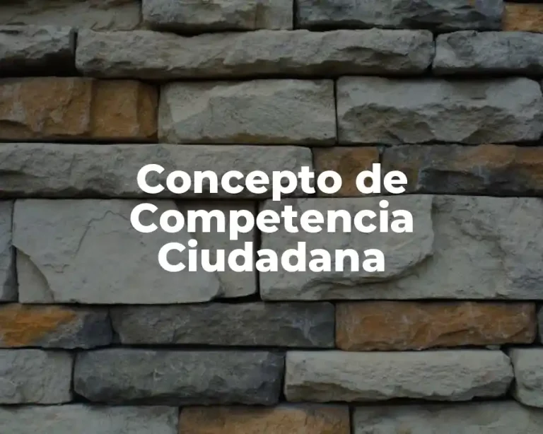 Concepto de Competencia Ciudadana