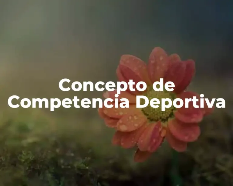 Concepto de Competencia Deportiva
