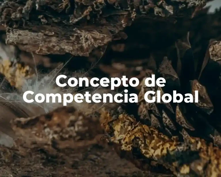 Concepto de Competencia Global