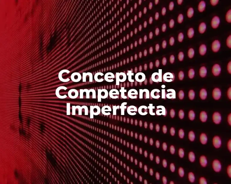 Concepto de Competencia Imperfecta