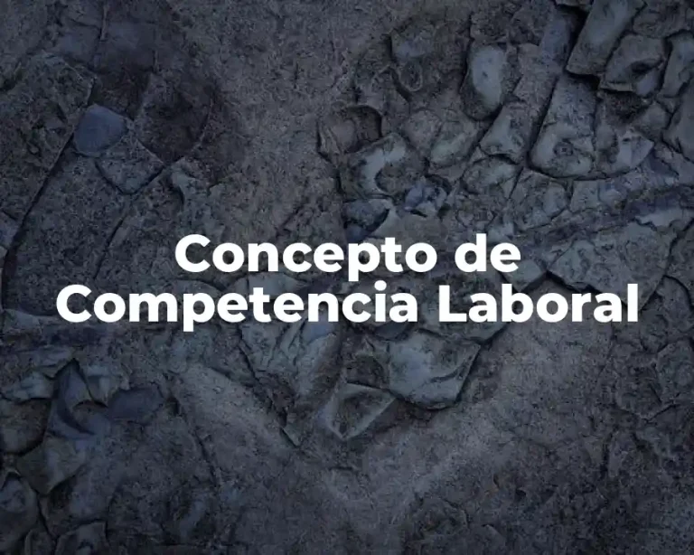 Concepto de Competencia Laboral