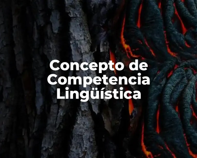 Concepto de Competencia Lingüística