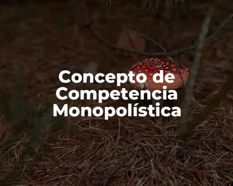 Concepto de Competencia Monopolística