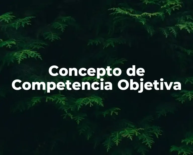 Concepto de Competencia Objetiva
