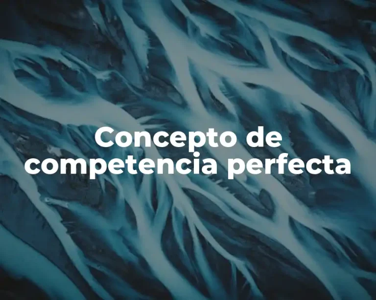Concepto de competencia perfecta