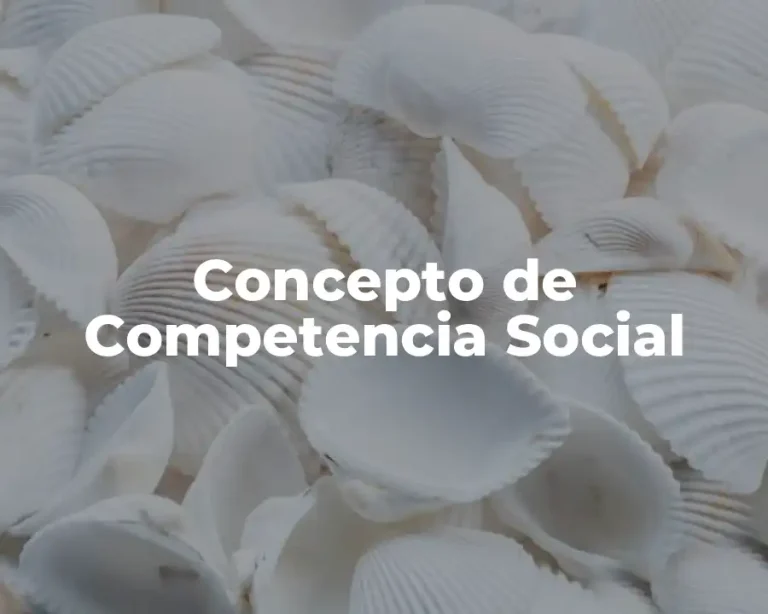 Concepto de Competencia Social