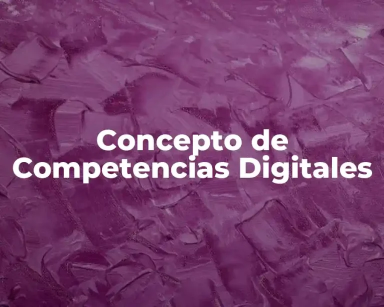 Concepto de Competencias Digitales
