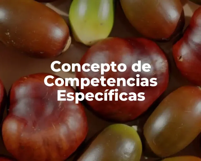Concepto de Competencias Específicas