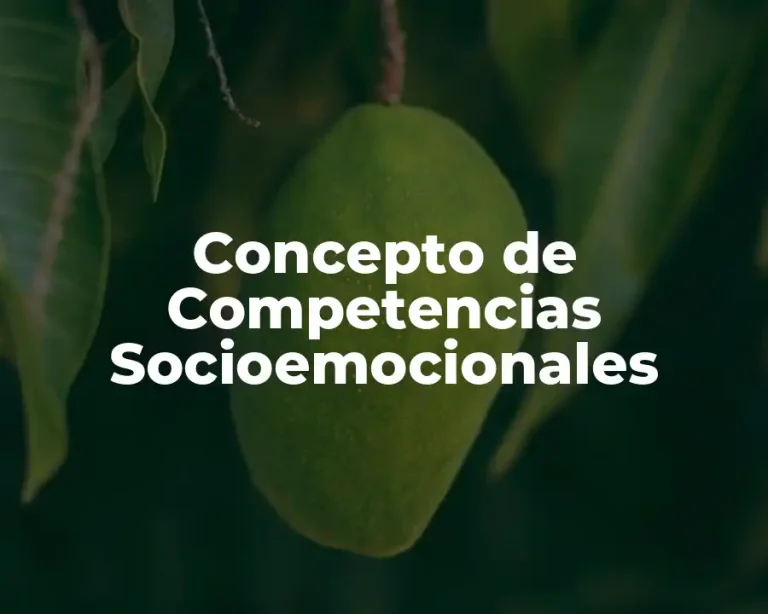 Concepto de Competencias Socioemocionales
