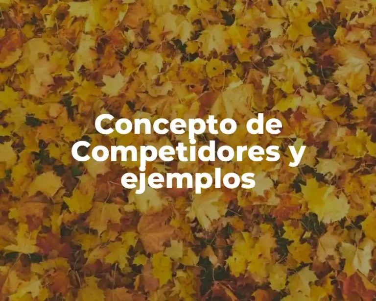 Concepto de Competidores y ejemplos