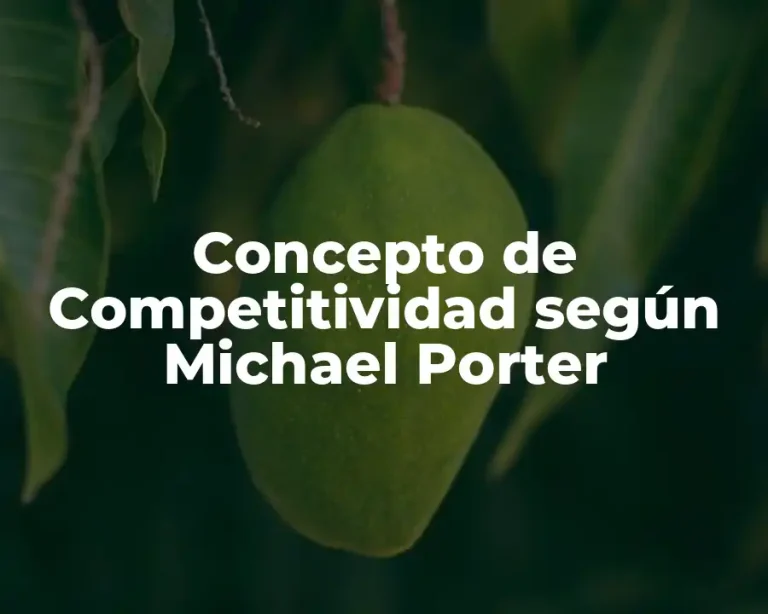 Concepto de Competitividad según Michael Porter
