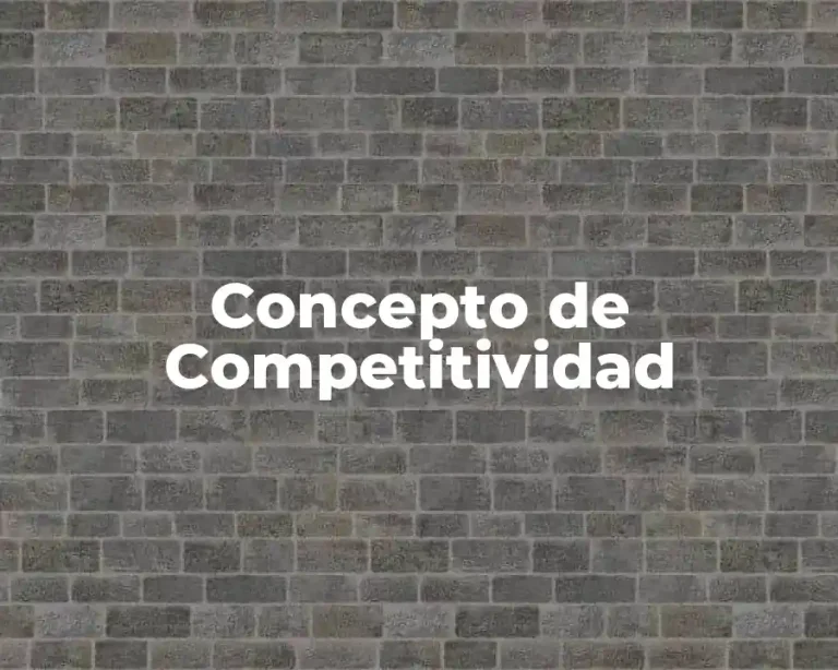 Concepto de Competitividad