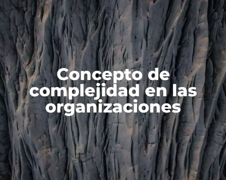 Concepto de complejidad en las organizaciones