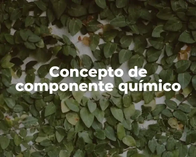 Concepto de componente químico