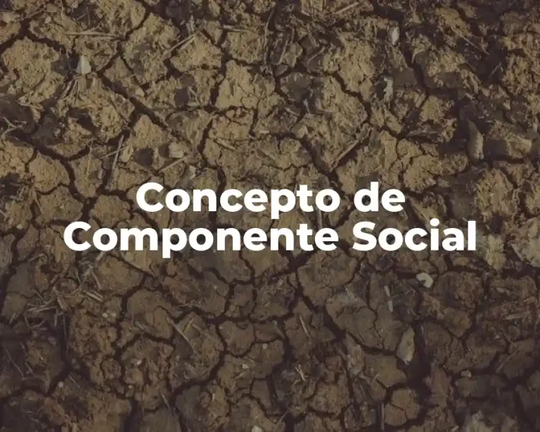 Concepto de Componente Social