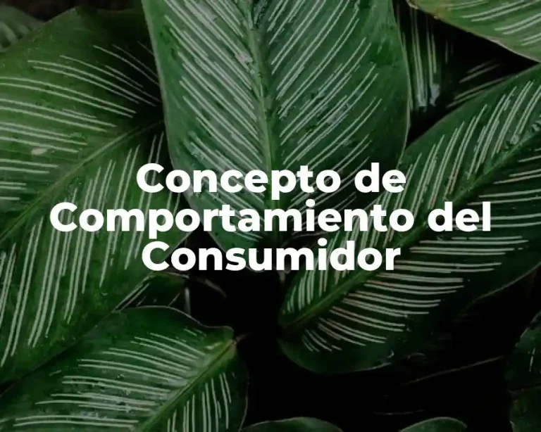 Concepto de Comportamiento del Consumidor