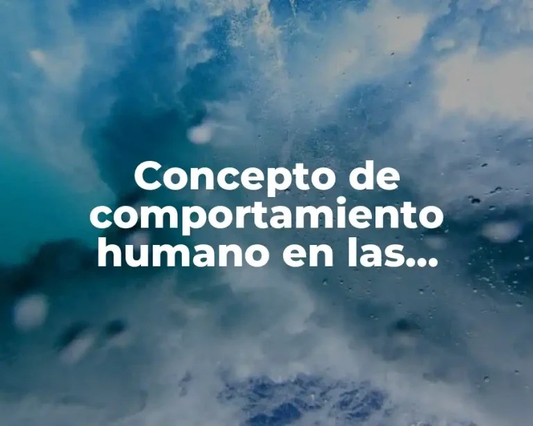 Concepto de comportamiento humano en las organizaciones